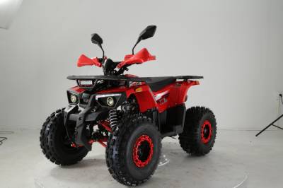 Квадроцикл детский R - MOTO (Р - Мото) Lion 125 AA красный (машинокомплект) Квадроцикл детский R - MOTO (Р - Мото) Lion 125 AA красный (машинокомплект)